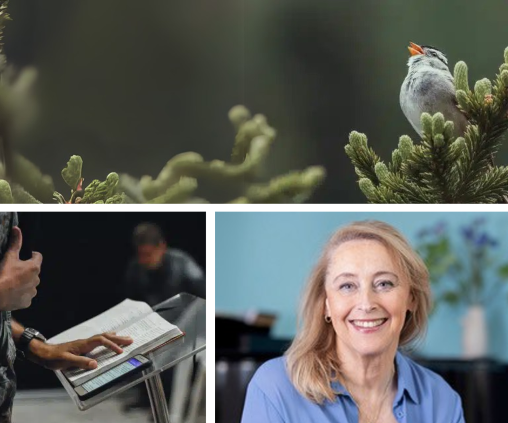 Avicenna academie voor leiderschap - coaching Stem en leiderschap