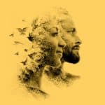 Meaningful Matters - Avicenna